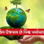 World Environment Day