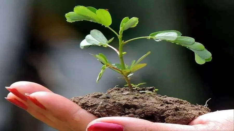 World Environment Day