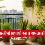 Vastu Plants