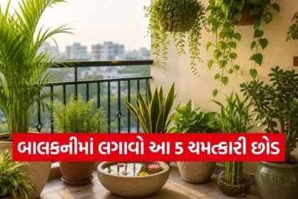 Vastu Plants