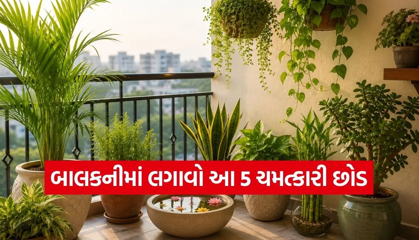 Vastu Plants