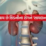 Kidney 0406
