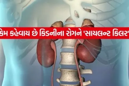 Kidney 0406