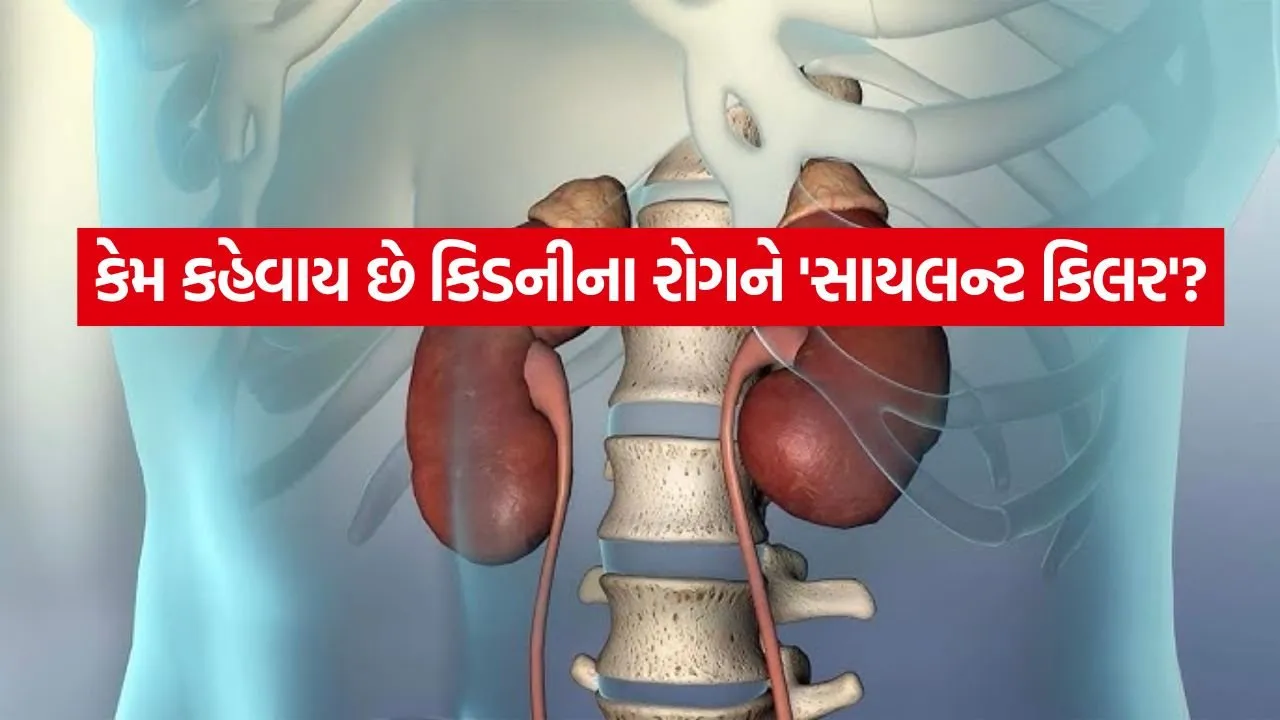 Kidney 0406.jpg