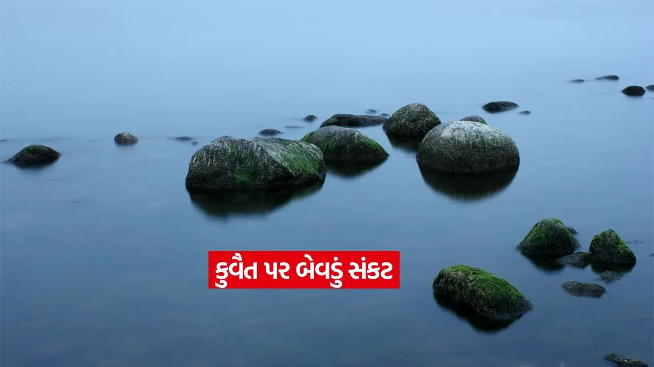 dharmishtha 1 11.jpg