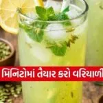 Saunf Sharbat