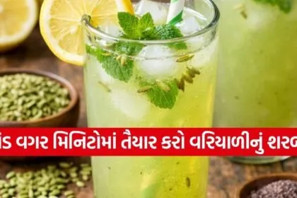 Saunf Sharbat