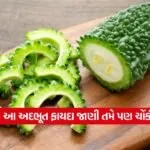 dharmishtha 1 29