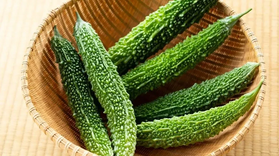 શું તમને ફેટી લીવરની સમસ્યા છે? તો આજથી જ ડાયેટમાં સામેલ કરો આ કડવું શાક, મળશે અસંખ્ય ફાયદા 3 krela.jpg