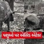 India 2026 06 05T181849.119