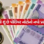 polymer notes 0506
