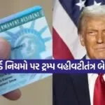 Green card 0606