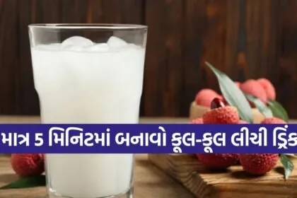 Lychee Sharbat