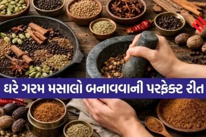 Garam Masala Powder