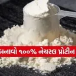 Homemade Protein Powder