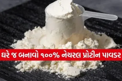 Homemade Protein Powder