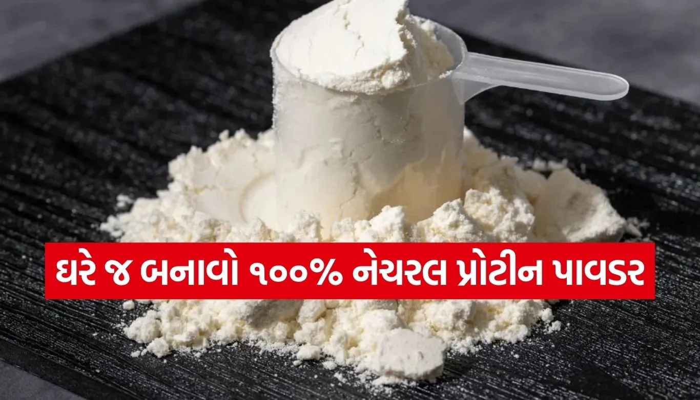Homemade Protein Powder