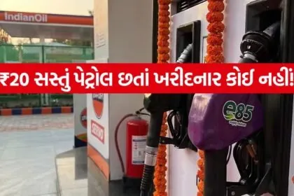 E85 Fuel 0706