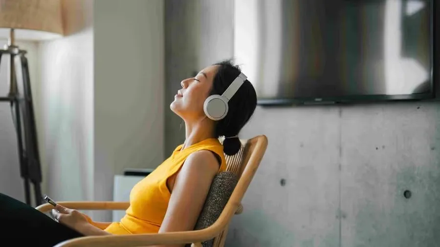 શું છે Noise Cancelling Headphonesનું સીક્રેટ? જાણો કેવી રીતે તે મિનિટોમાં ગાયબ કરી દે છે તમારી આસપાસનો ઘોંઘાટ 2 Noise Cancelling Headphones
