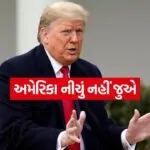 trump 1006