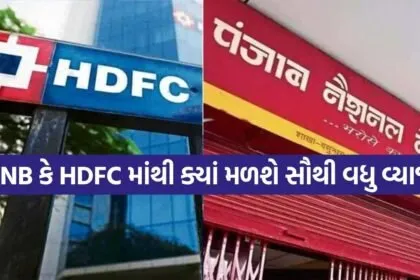 PNB HDFC 1006