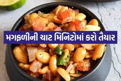 Peanut chaat 1006