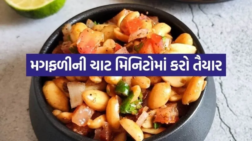 Peanut chaat 1006