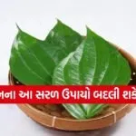 Betel Leaf