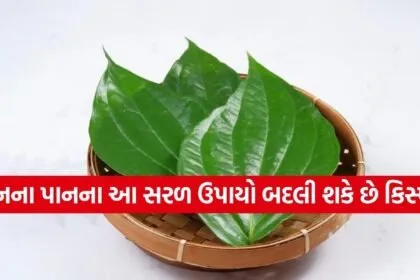 Betel Leaf