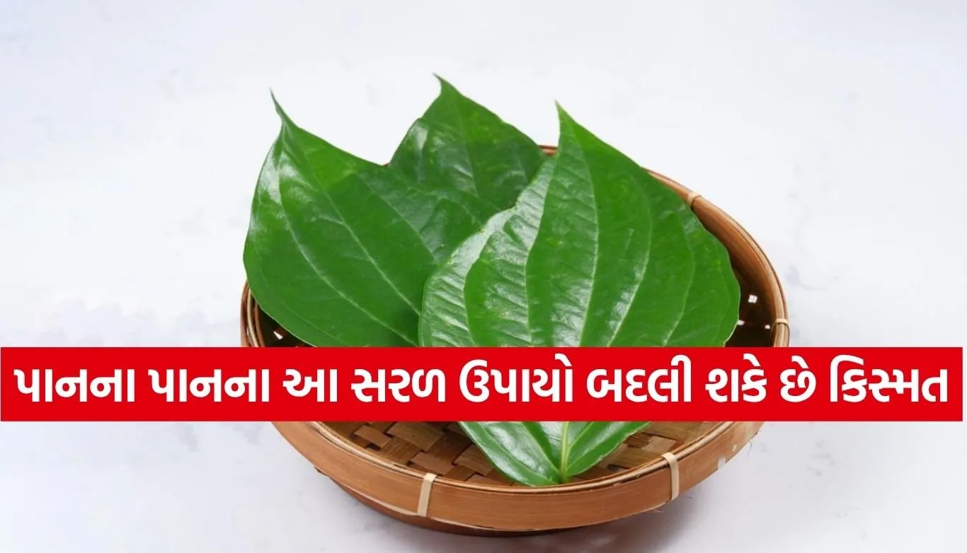 Betel Leaf