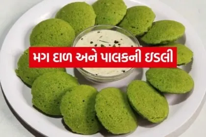 Idli 1006