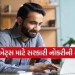 Government Job