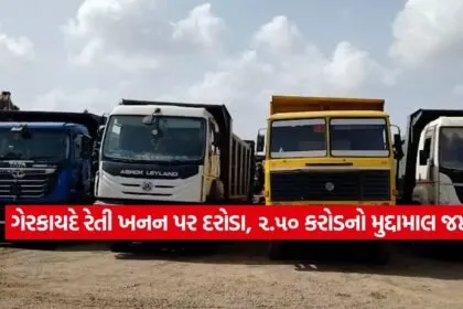dharmishtha 1 3