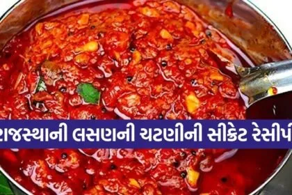 Garlic Chutney