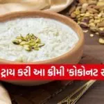 Coconut Rabdi