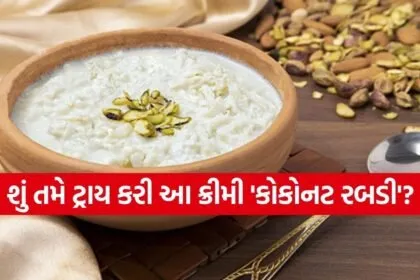 Coconut Rabdi