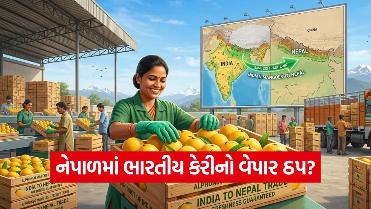 India 32.jpg