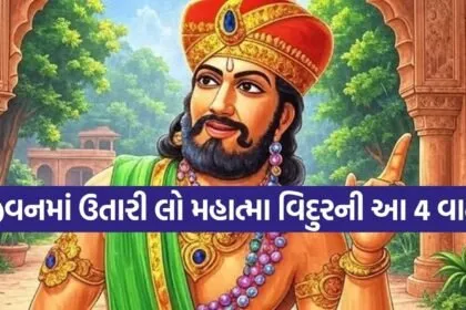 Vidur Niti