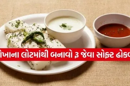 Rice Dhokla