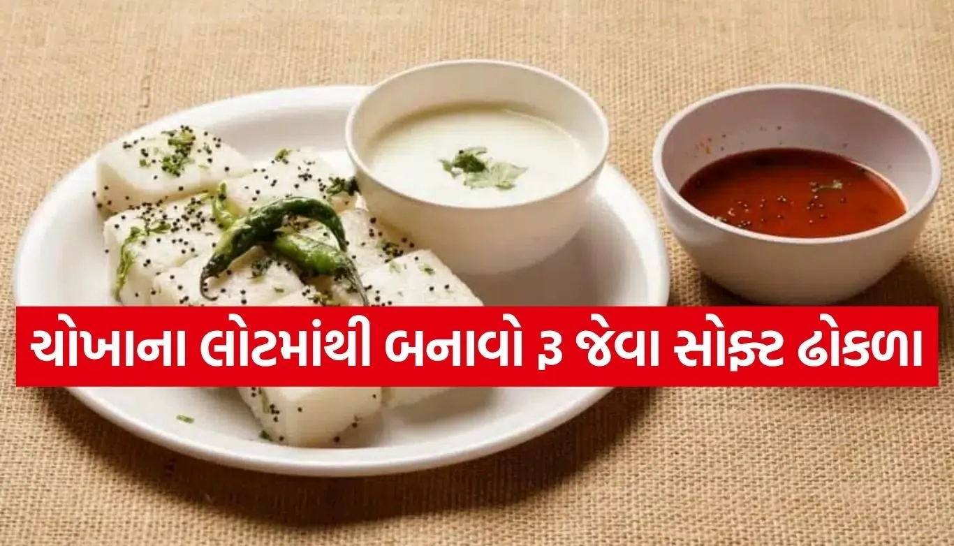 Rice Dhokla