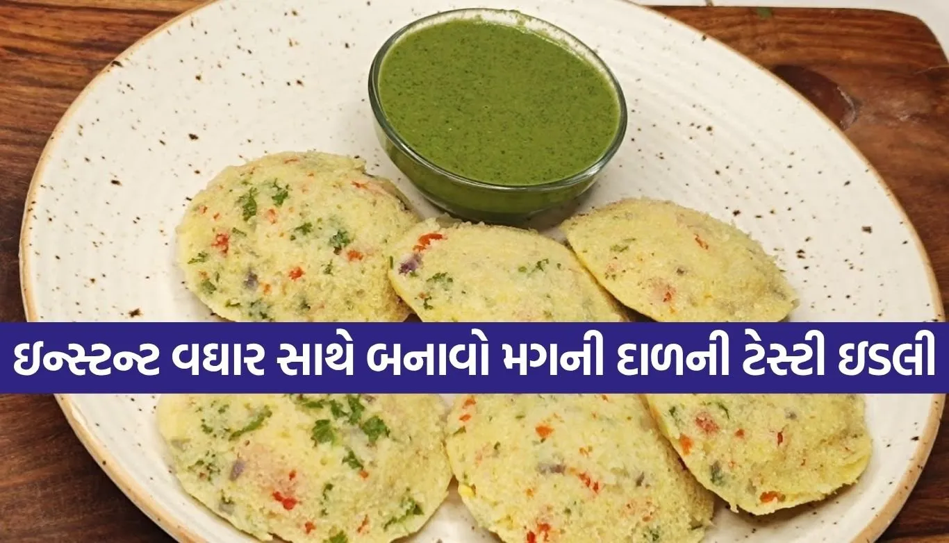 Moong Dal Idli