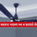 Ceiling Fan