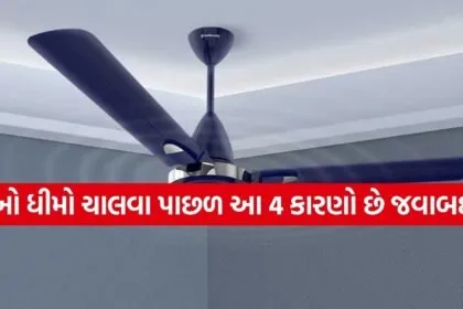 Ceiling Fan