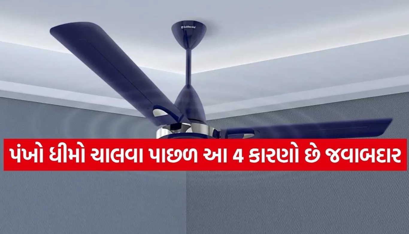 Ceiling Fan