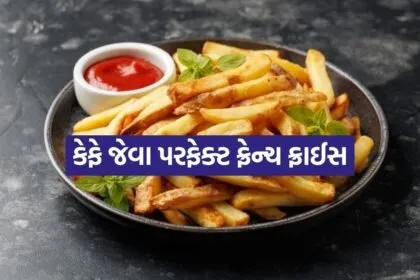 French Fries 1106