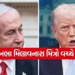 Trump 1206 1