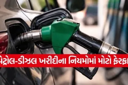 Petrol 1206