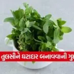 India 66