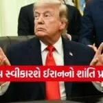 TRUMP 1206