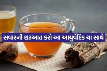 Ayurvedic tea 1206